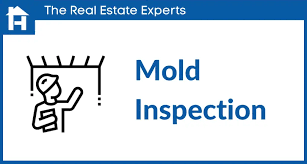 Inspection Services (2)